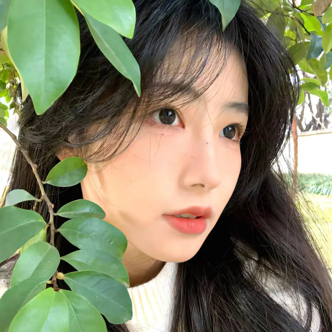 危情狂蝶
