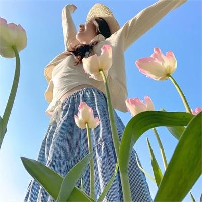 杨七郎威震神州擂
